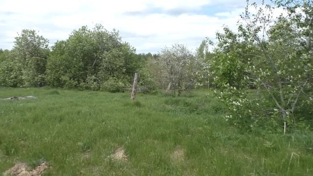 Из 40 домов осталось только 7. Грустная деревня в окружении лесов. Дом с необычной крышей. Деревня. смотреть онлайн