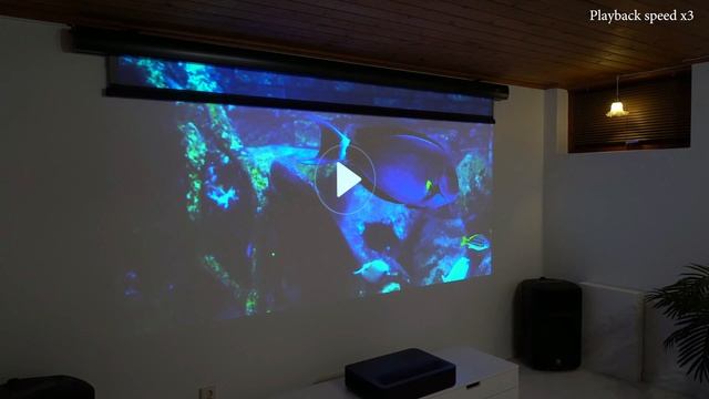 VIVIDSTORM超大画面環境光抵抗天吊り式スクリーン　天井や壁に付けられて、場所取れない