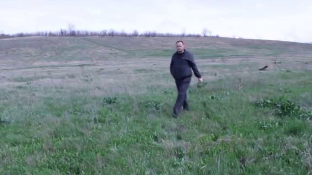 Ягдтерьер. Поиск и подача утки из зарослей3.MOV смотреть онлайн