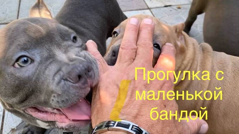 Управлять полностью пока тяжело, но мы в процессе. смотреть онлайн