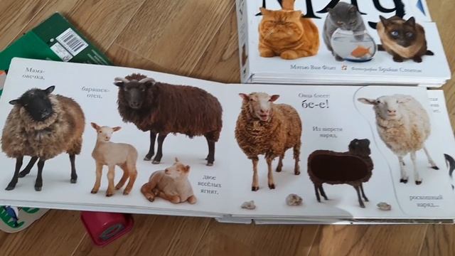 Первая книга ребёнка. Как ребёнку полюбить книги. смотреть онлайн