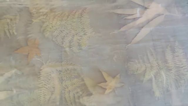 Видеозарисовка Окрашивание в технике Медиумпринт. Eco-printing with dying fabric technique. смотреть онлайн