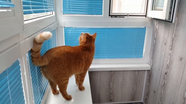 4 Года Saveliy Ad