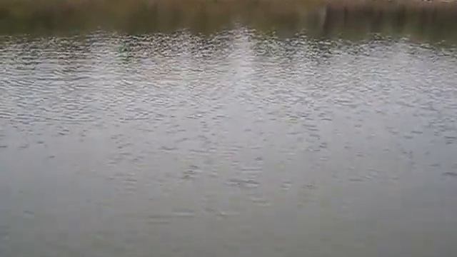 Осенний джиг, щука, Митинка, база "Клевый берег" смотреть онлайн