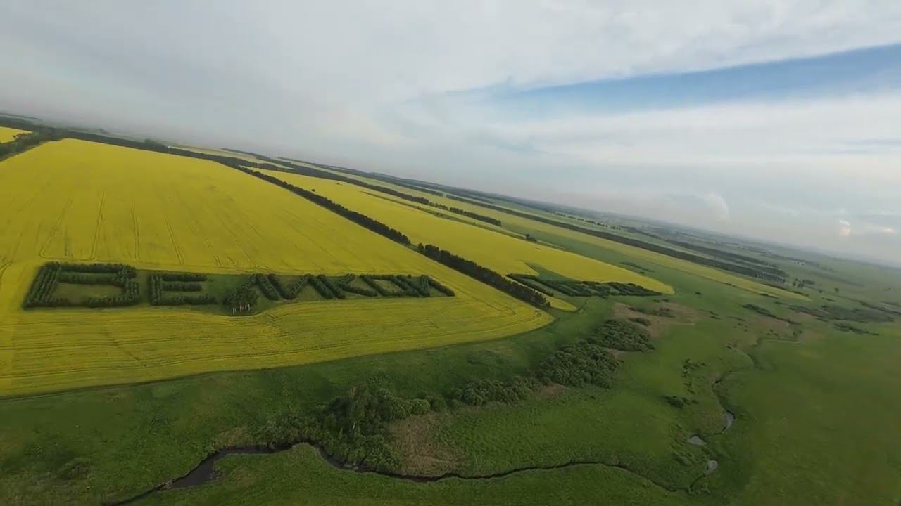 Яндекс удалил с Карт Надпись из деревьев 