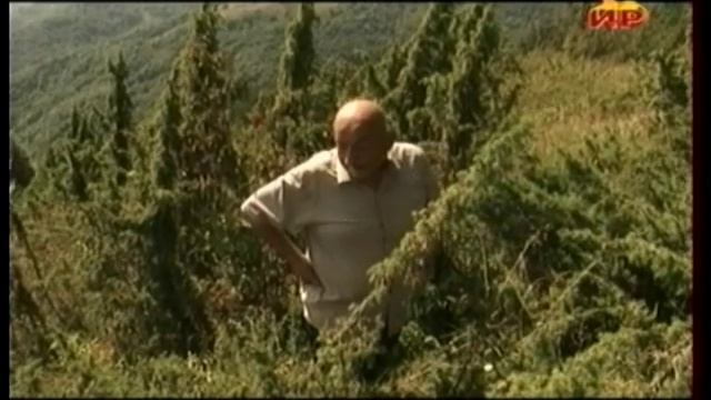 Южная Осетия 95 смотреть онлайн