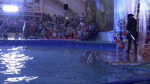 Московский Дельфинарий 1