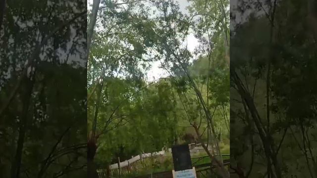 Природная красота в Турции.Поехали на водопад Турецкая жизнь #турция#водопады#art#youtube смотреть онлайн
