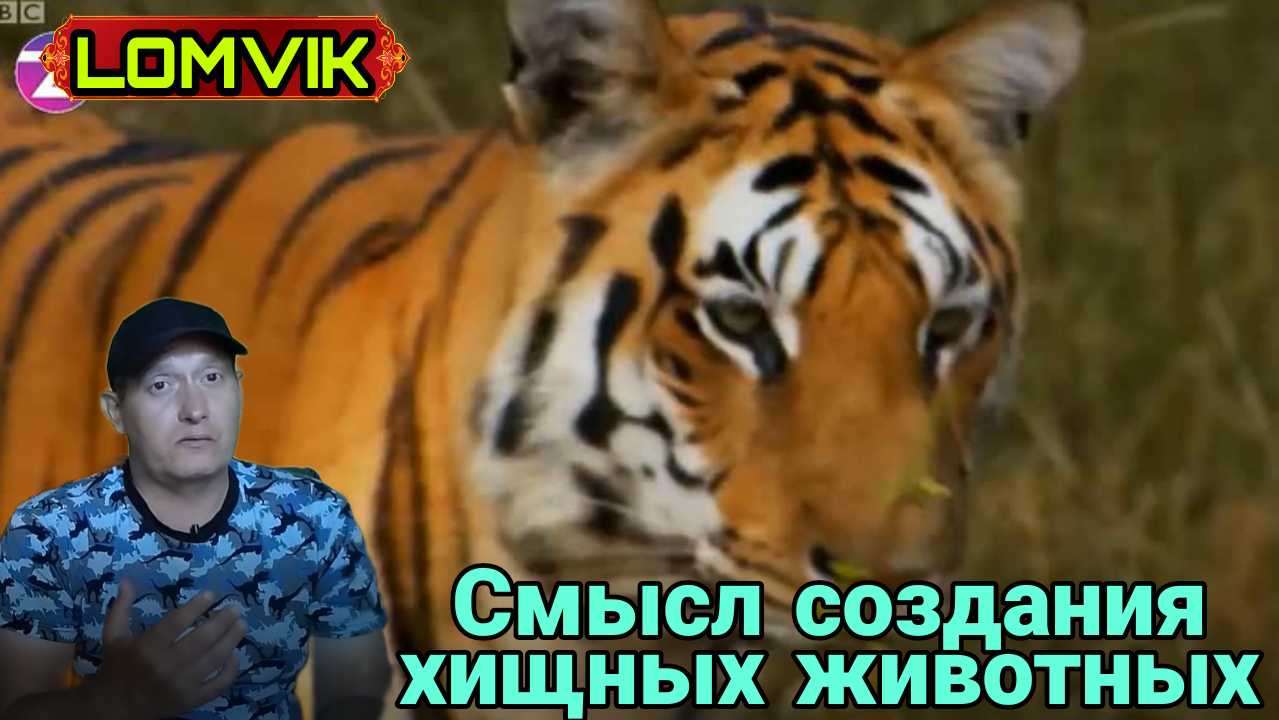 Смысл создания хищных животных смотреть онлайн