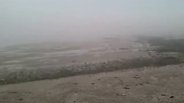 vue sur la mer смотреть онлайн