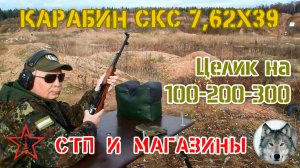 "Осенний СКС". Прицел на 1:2:3, магазины и СТП. ("Autumn SКS". Sight, magazines and point of impact)