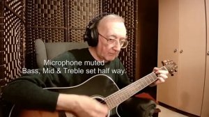 Takamine GD51 review