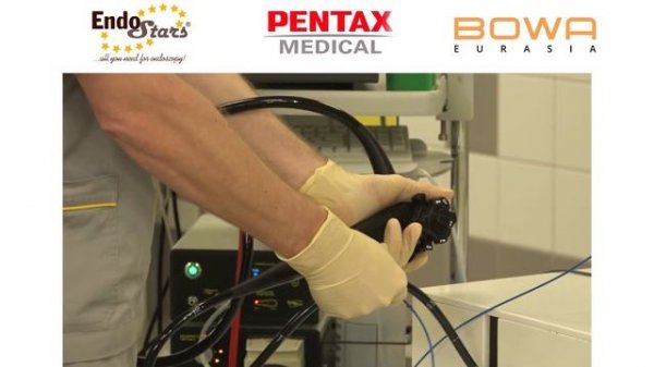 ESD. Онлайн-Курс Эндо Старс (Endo Stars LLC)