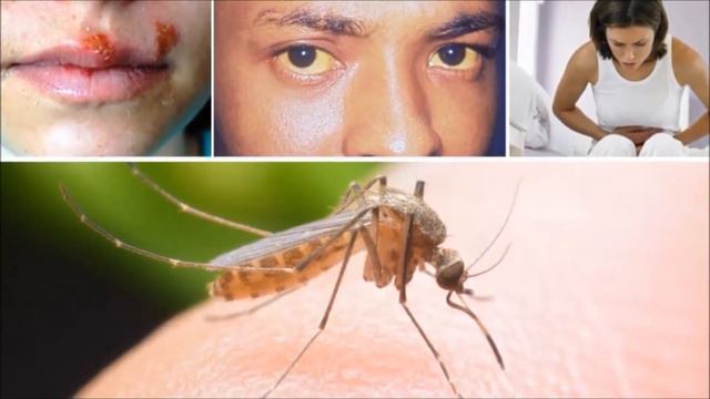 10 самых Странных Работ , самые странные професии смотреть онлайн