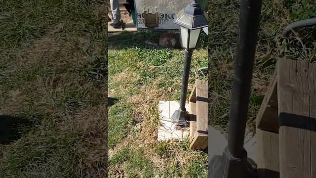 Циля решила помыть посуду смотреть онлайн