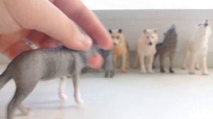 schleich обзор коллекции фигурок волков + распоковка новинок 💞