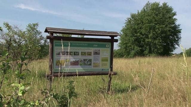 Dokument o městu Milovice смотреть онлайн