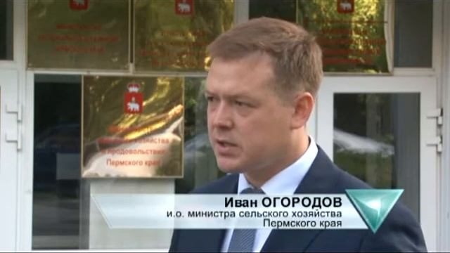 В Прикамье режим ЧС что будет с урожаем и ценами смотреть онлайн