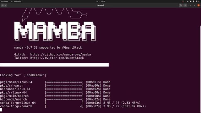Easy way to install snakemake in Linux using conda/mamba/micromamba смотреть онлайн