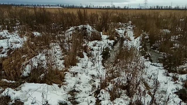 Груша 2 смотреть онлайн