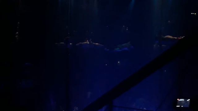 Coco Bongo Riviera Maya #mexico #lifeofatravelagent #cocobongo #livingthedream #thomascook смотреть онлайн