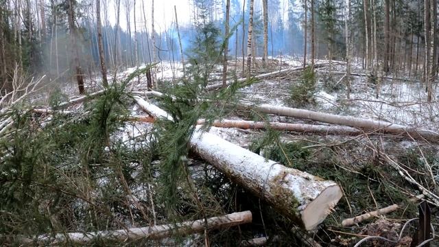 Меняю три дубовых пня на заплатку. смотреть онлайн