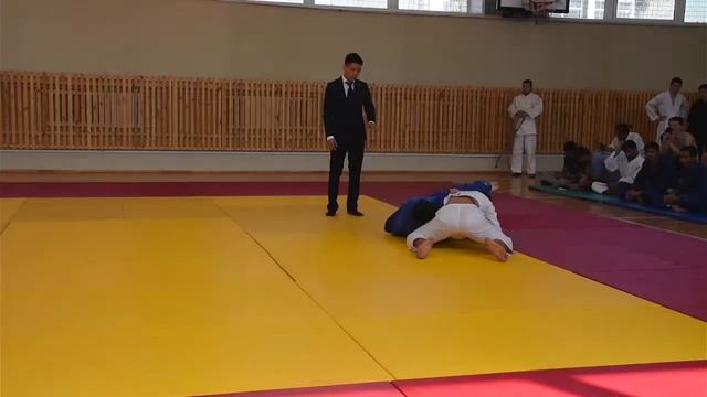 Открытый турнир по дзюдо смотреть онлайн