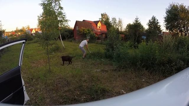 300 спартанцев и рабы на галерах курят в сторонке | Самый сложный способ расчистки участка