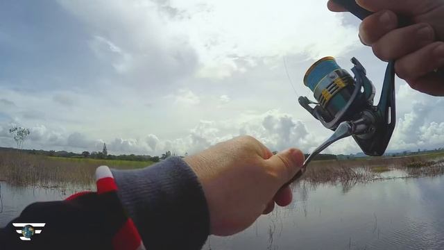 Favorite World Fishing. Таиланд, день 4. Рыбалка на змееголова. смотреть онлайн