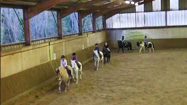 Je suis sur icks le poney beige le fjord ! смотреть онлайн