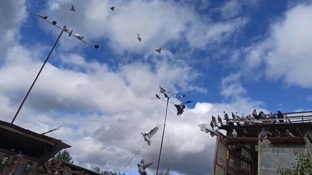 ещё не готовы