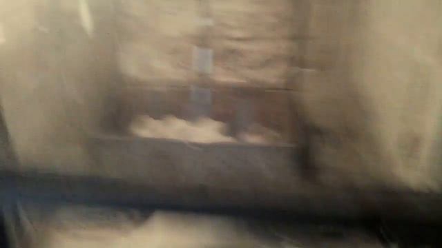 Лайки растут,куры несутся,😍😍. смотреть онлайн