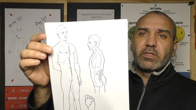 Меридианы Контролирующие орган Сердца.