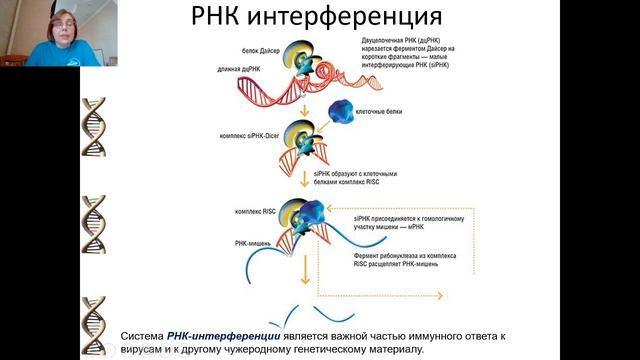Сириус.Дома: РНК удивительные и многогранные смотреть онлайн