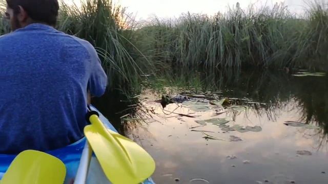 Nature Park Fuvahmulah Maldives смотреть онлайн