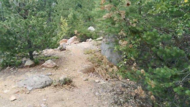 Прогулка и рыбалка в Карелии смотреть онлайн