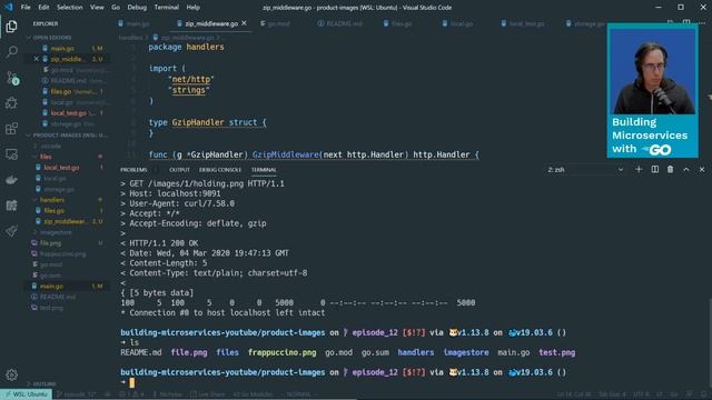 Building Microservices with Go: 12 Using Gzip compression for HTTP responses смотреть онлайн