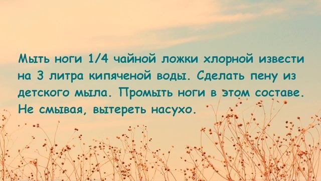 Потеют ноги. Простое решение. Народные методы и рецепты. смотреть онлайн
