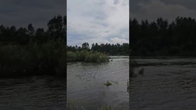 томь и обь поднялась за сутки несколько машин постродали смотреть онлайн