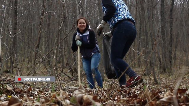 День кедра на «Земле леопарда». смотреть онлайн