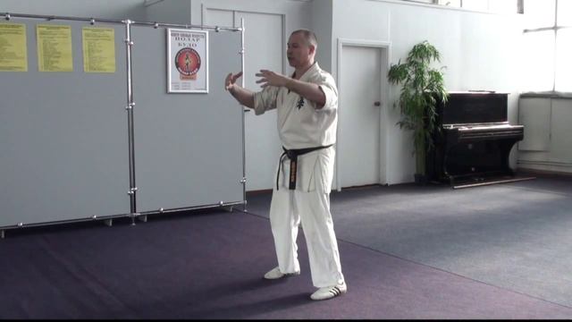 Чен Бао Чжуан (Cheng Bao Zhuang)- Ицюань (Yiquan) смотреть онлайн