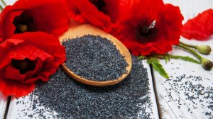 ПРИЗЫВ ДЕНЕГ НА МАК. ДЛЯ ТОРГОВЛИ И КЛИЕНТОВ. ДЛЯ ВСЕХ. ВЕДЬМИНА ИЗБА ИНГА ХОСРОЕВА.mp4