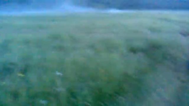 мопедик yam смотреть онлайн