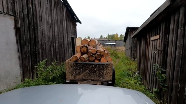 Почем металл в России?! Береза упала на провода. Сидим без света. Заготовка дров. смотреть онлайн