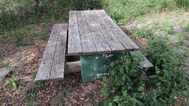 Kayaking the Crooked River in Clermont, FL | You Will NOT Believe What You'll See in the River! смотреть онлайн