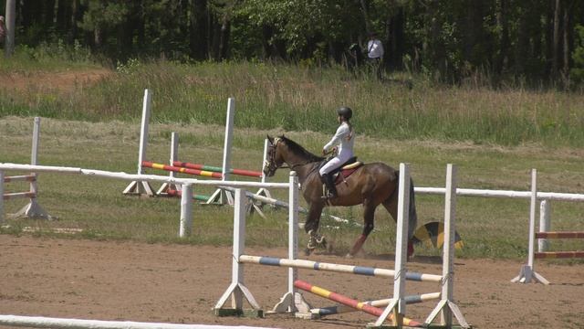 H2320024 смотреть онлайн