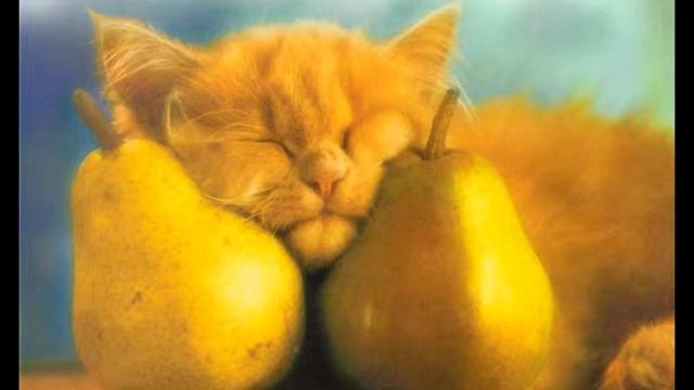 Главное - найти своё место в жизни смотреть онлайн