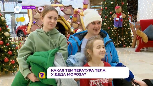 Два вопроса / Шуба Деда Мороза смотреть онлайн