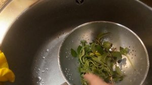 ВАРЕНЬЕ ИЗ ИРГИ /  БАЗИЛИК СУШЕННЫЙ / Пряное ассорти / ЗАГОТОВКИ НА ЗИМУ / УРОЖАЙ 2022 / НАША ДАЧА