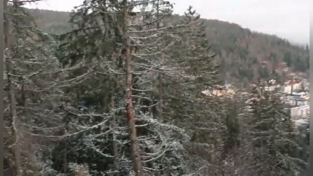 Будни Светика?Жизнь в Германии??Рождество?25.12.22#буднисветика#жизньвгермани#рождество#праздник смотреть онлайн